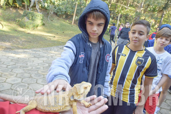 Buy your photos of the eventNR1 - Cl�ssico 26 a 28/07/19 on Fotop