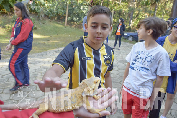 Buy your photos of the eventNR1 - Cl�ssico 26 a 28/07/19 on Fotop