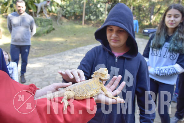 Buy your photos of the eventNR1 - Cl�ssico 26 a 28/07/19 on Fotop