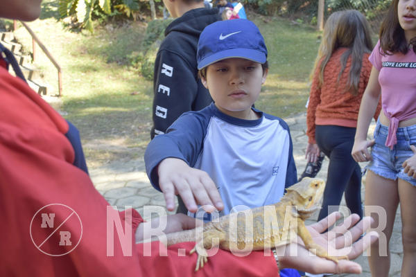 Buy your photos of the eventNR1 - Cl�ssico 26 a 28/07/19 on Fotop