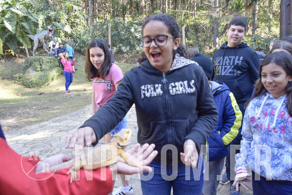 Buy your photos of the eventNR1 - Cl�ssico 26 a 28/07/19 on Fotop