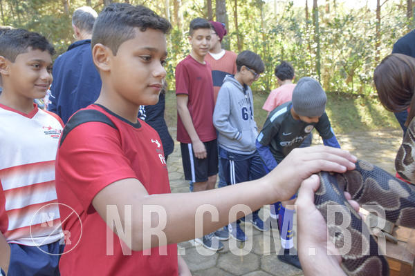 Buy your photos of the eventNR1 - Cl�ssico 26 a 28/07/19 on Fotop