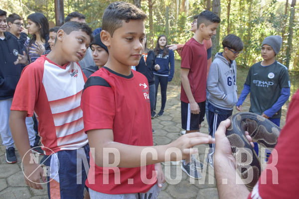 Buy your photos of the eventNR1 - Cl�ssico 26 a 28/07/19 on Fotop