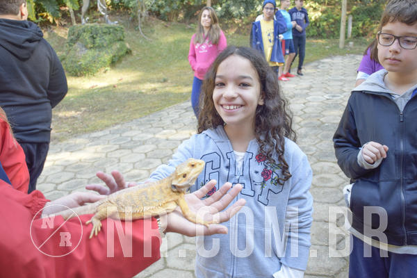 Buy your photos of the eventNR1 - Cl�ssico 26 a 28/07/19 on Fotop