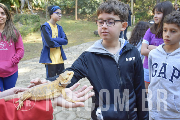 Buy your photos of the eventNR1 - Cl�ssico 26 a 28/07/19 on Fotop