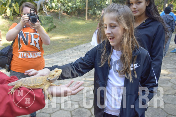 Buy your photos of the eventNR1 - Cl�ssico 26 a 28/07/19 on Fotop