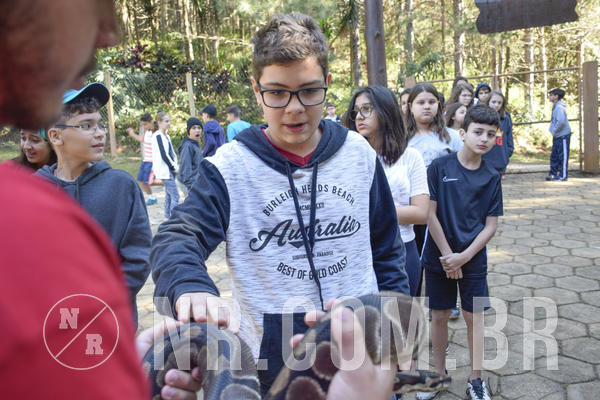 Buy your photos of the eventNR1 - Cl�ssico 26 a 28/07/19 on Fotop