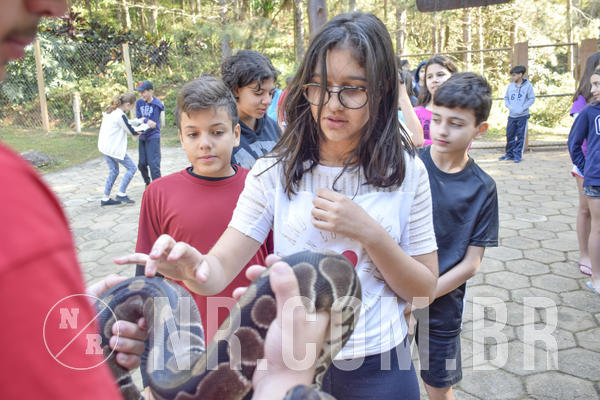 Buy your photos of the eventNR1 - Cl�ssico 26 a 28/07/19 on Fotop