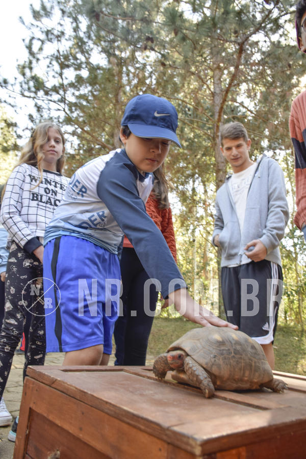 Buy your photos of the eventNR1 - Cl�ssico 26 a 28/07/19 on Fotop