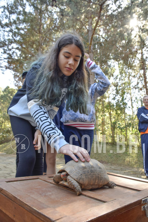 Buy your photos of the eventNR1 - Cl�ssico 26 a 28/07/19 on Fotop