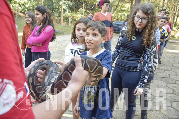 Buy your photos of the eventNR1 - Cl�ssico 26 a 28/07/19 on Fotop