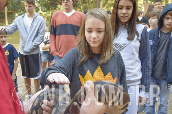 Buy your photos of the eventNR1 - Cl�ssico 26 a 28/07/19 on Fotop