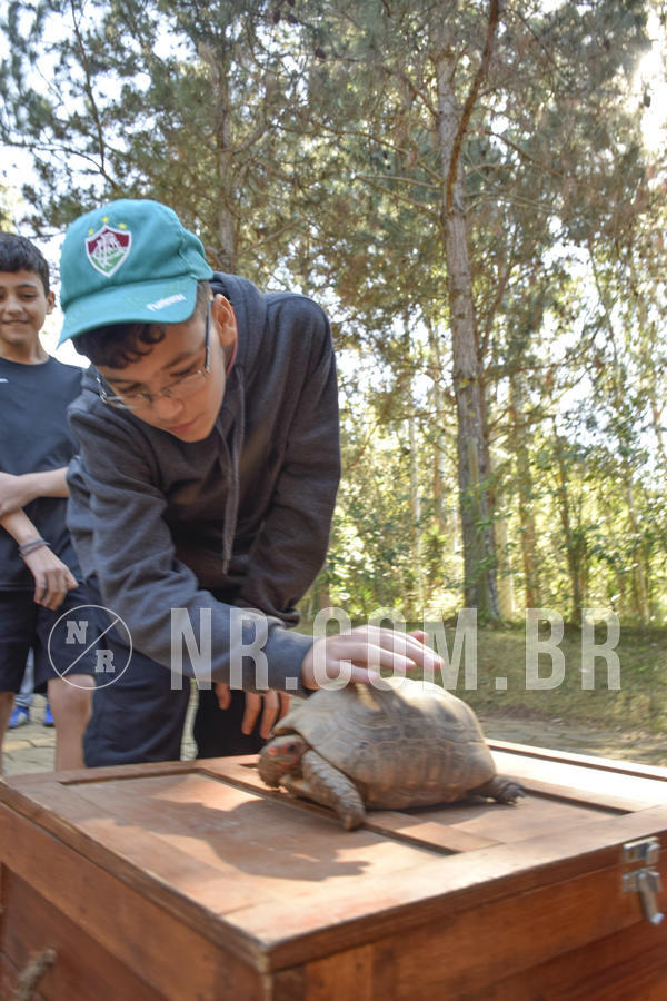 Buy your photos of the eventNR1 - Cl�ssico 26 a 28/07/19 on Fotop