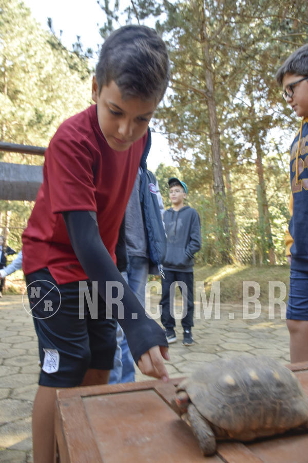 Buy your photos of the eventNR1 - Cl�ssico 26 a 28/07/19 on Fotop