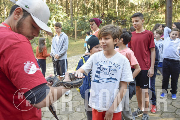 Buy your photos of the eventNR1 - Cl�ssico 26 a 28/07/19 on Fotop