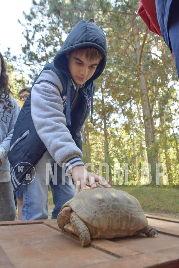 Buy your photos of the eventNR1 - Cl�ssico 26 a 28/07/19 on Fotop