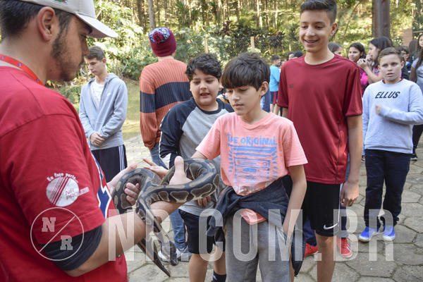 Buy your photos of the eventNR1 - Cl�ssico 26 a 28/07/19 on Fotop