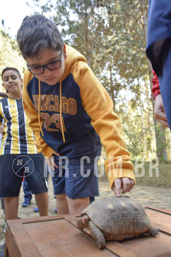 Buy your photos of the eventNR1 - Cl�ssico 26 a 28/07/19 on Fotop