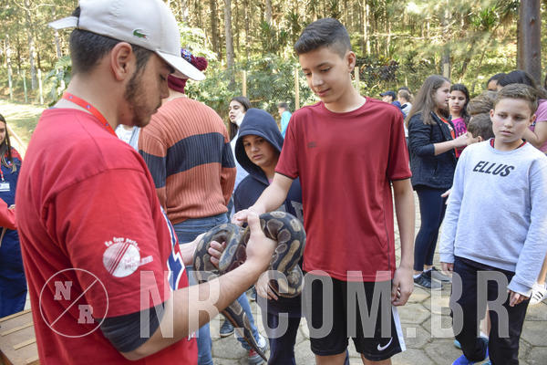 Buy your photos of the eventNR1 - Cl�ssico 26 a 28/07/19 on Fotop