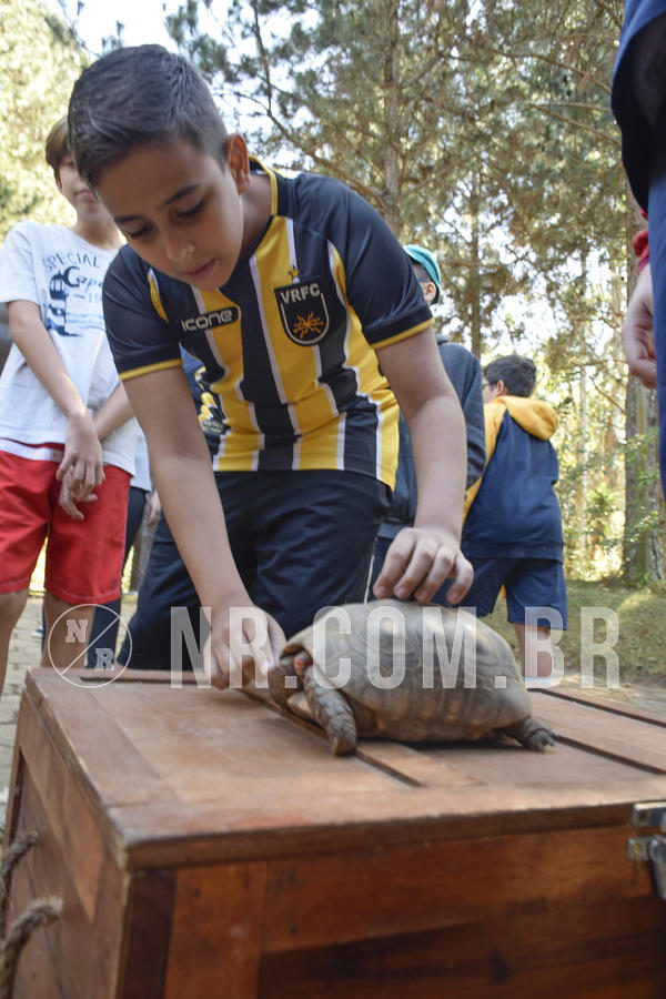 Buy your photos of the eventNR1 - Cl�ssico 26 a 28/07/19 on Fotop