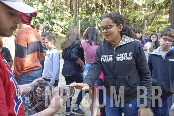 Buy your photos of the eventNR1 - Cl�ssico 26 a 28/07/19 on Fotop