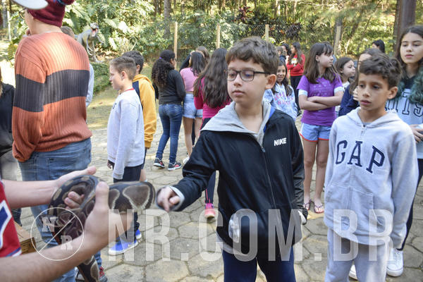 Buy your photos of the eventNR1 - Cl�ssico 26 a 28/07/19 on Fotop