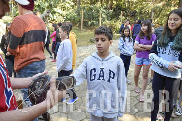 Buy your photos of the eventNR1 - Cl�ssico 26 a 28/07/19 on Fotop