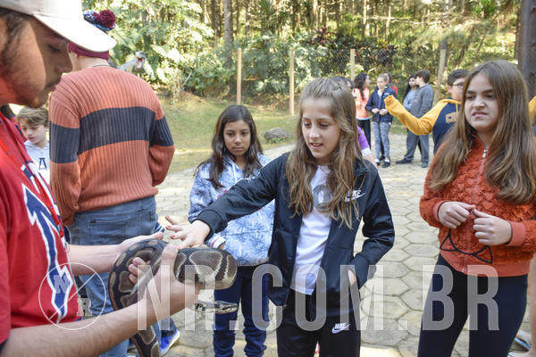 Buy your photos of the eventNR1 - Cl�ssico 26 a 28/07/19 on Fotop