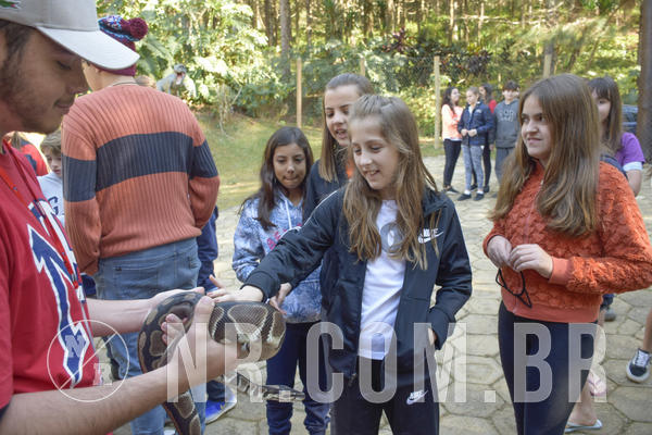 Buy your photos of the eventNR1 - Cl�ssico 26 a 28/07/19 on Fotop