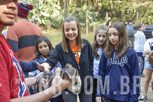 Buy your photos of the eventNR1 - Cl�ssico 26 a 28/07/19 on Fotop