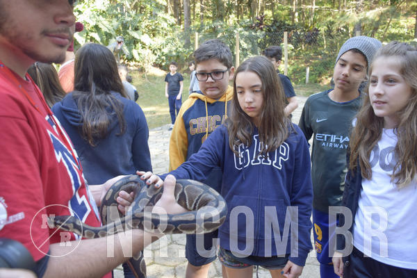 Buy your photos of the eventNR1 - Cl�ssico 26 a 28/07/19 on Fotop