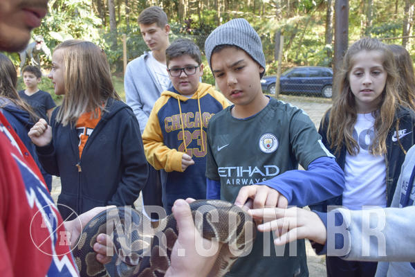 Buy your photos of the eventNR1 - Cl�ssico 26 a 28/07/19 on Fotop