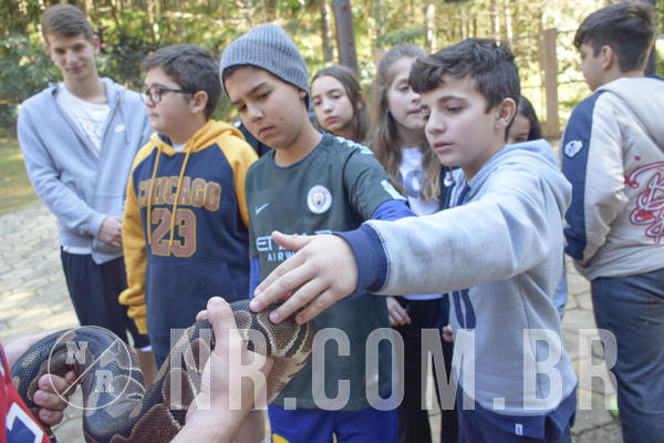 Buy your photos of the eventNR1 - Cl�ssico 26 a 28/07/19 on Fotop