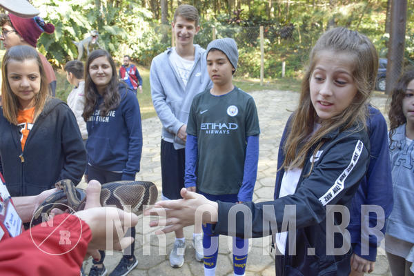 Buy your photos of the eventNR1 - Cl�ssico 26 a 28/07/19 on Fotop