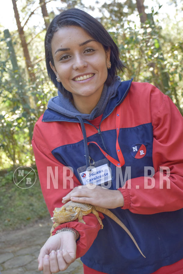 Buy your photos of the eventNR1 - Cl�ssico 26 a 28/07/19 on Fotop