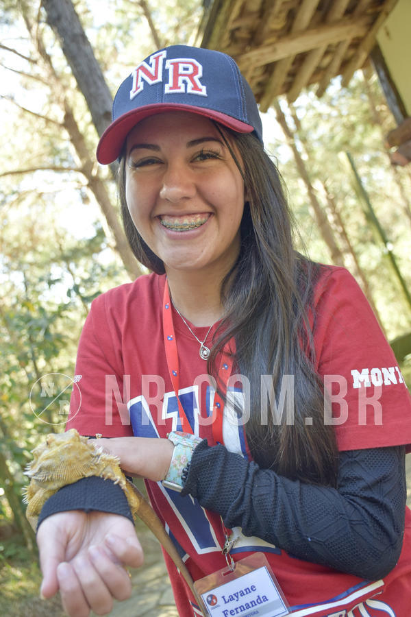 Buy your photos of the eventNR1 - Cl�ssico 26 a 28/07/19 on Fotop