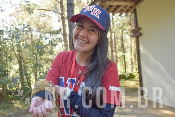 Buy your photos of the eventNR1 - Cl�ssico 26 a 28/07/19 on Fotop