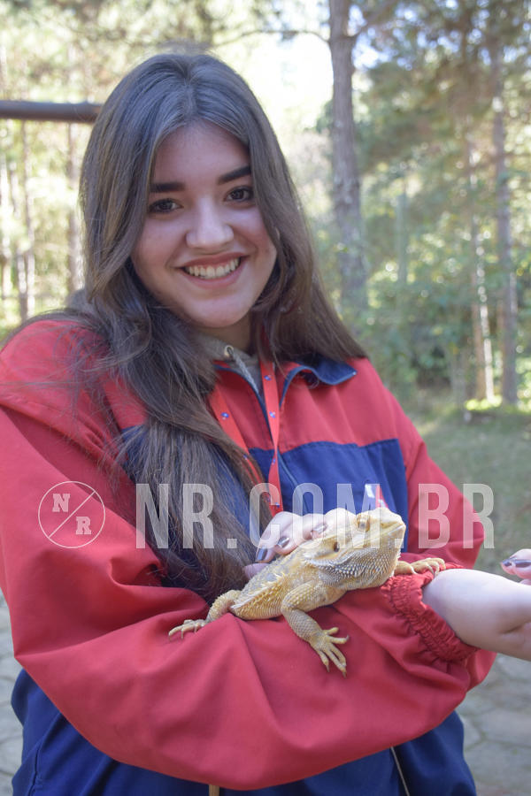 Buy your photos of the eventNR1 - Cl�ssico 26 a 28/07/19 on Fotop