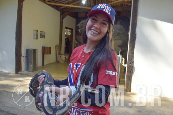 Buy your photos of the eventNR1 - Cl�ssico 26 a 28/07/19 on Fotop