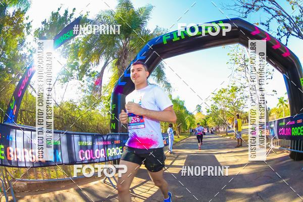 Buy your photos of the eventColor Race Brasil - Campinas on Fotop