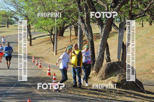 Buy your photos of the eventColor Race Brasil - Campinas on Fotop