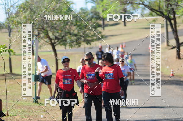Buy your photos of the eventColor Race Brasil - Campinas on Fotop