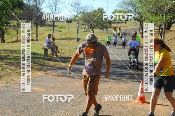 Buy your photos of the eventColor Race Brasil - Campinas on Fotop