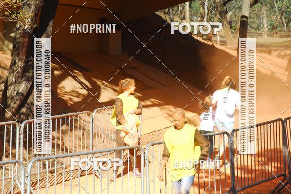 Buy your photos of the eventColor Race Brasil - Campinas on Fotop