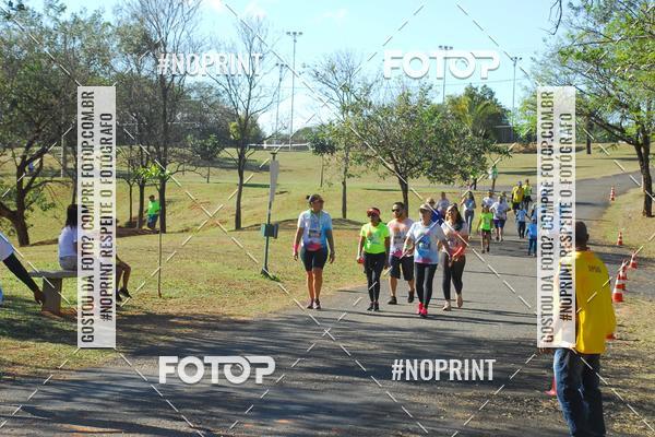 Buy your photos of the eventColor Race Brasil - Campinas on Fotop