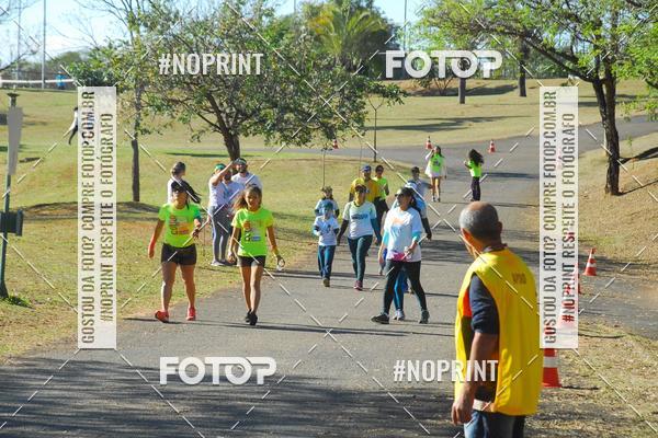 Buy your photos of the eventColor Race Brasil - Campinas on Fotop