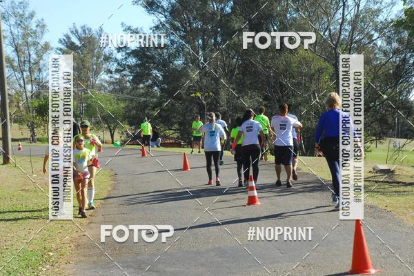 Buy your photos of the eventColor Race Brasil - Campinas on Fotop