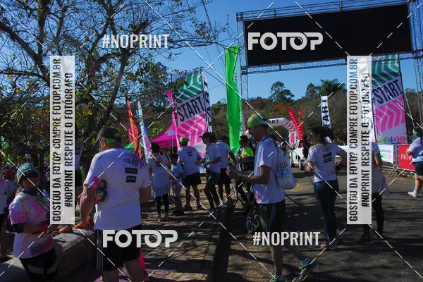 Buy your photos of the eventColor Race Brasil - Campinas on Fotop