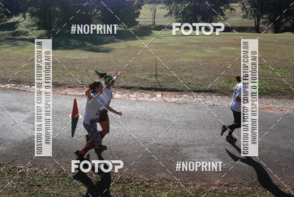 Buy your photos of the eventColor Race Brasil - Campinas on Fotop