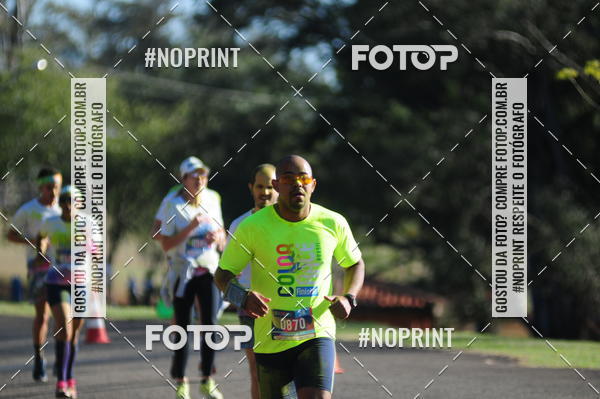 Buy your photos of the eventColor Race Brasil - Campinas on Fotop